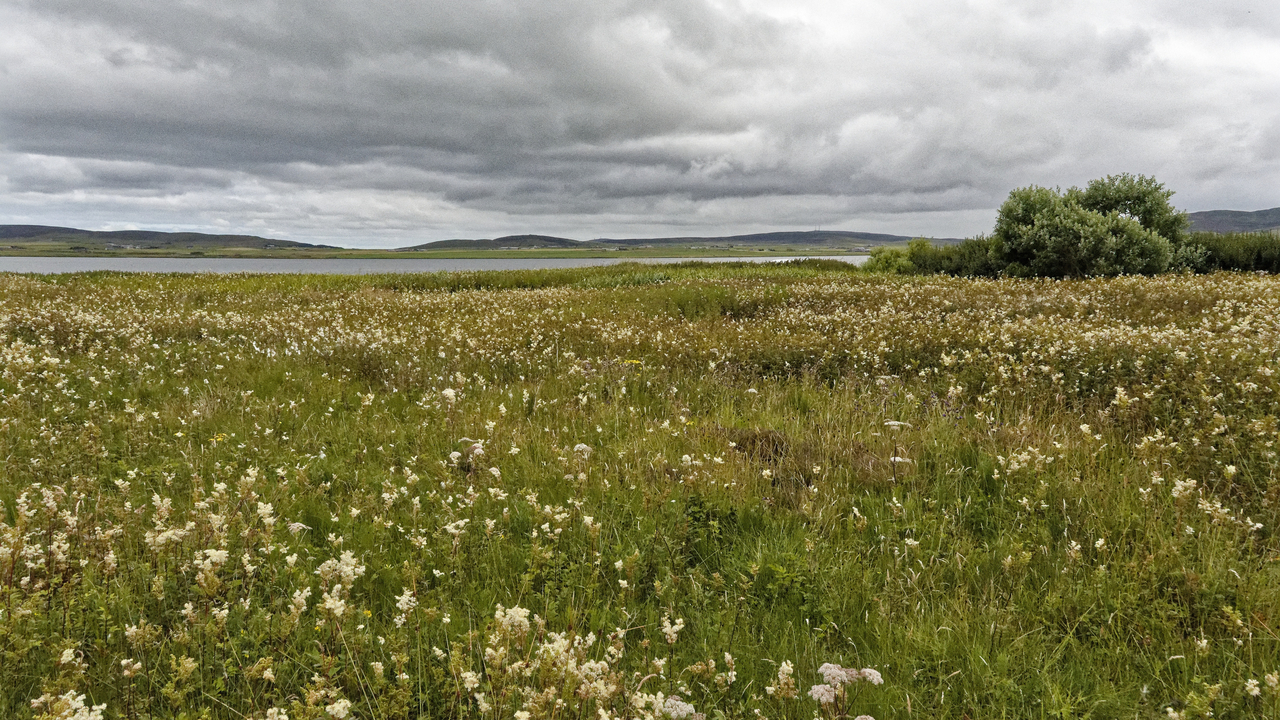 20230726 150555•Stromness•Orkney•Scotland•UK